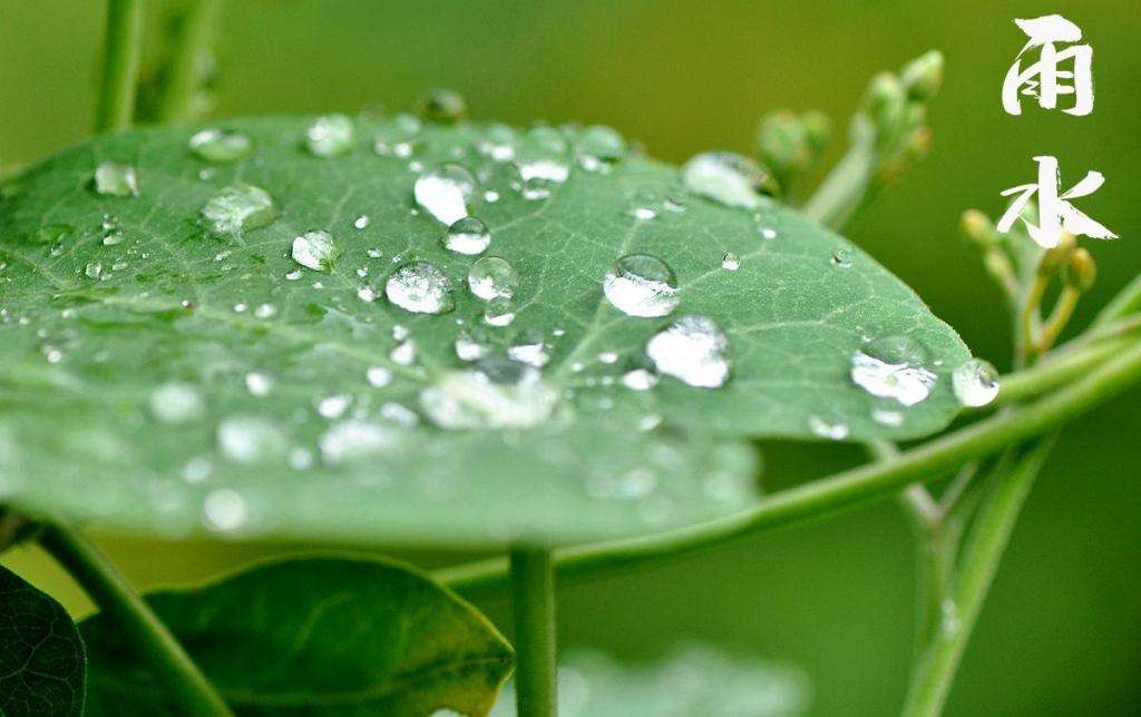 雨水潤(rùn)萬(wàn)物，兼顧沙與泥！